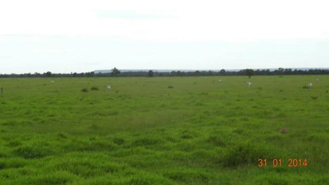 Fazenda c/ 4.500he, C/ 80% aberto, parte faz lavoura, Nova Xavantina-MT - Foto 9