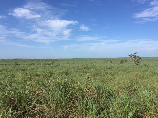 Fazenda c/ 1.700he c/ 80% formados, dupla aptidão, Itiquira-MT, pego 50% em imóvel no PR - Foto 2