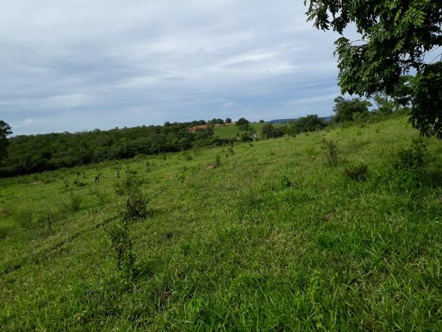 Fazenda c/ 912he, 550he formados, Terra boa, Itiquira-MT