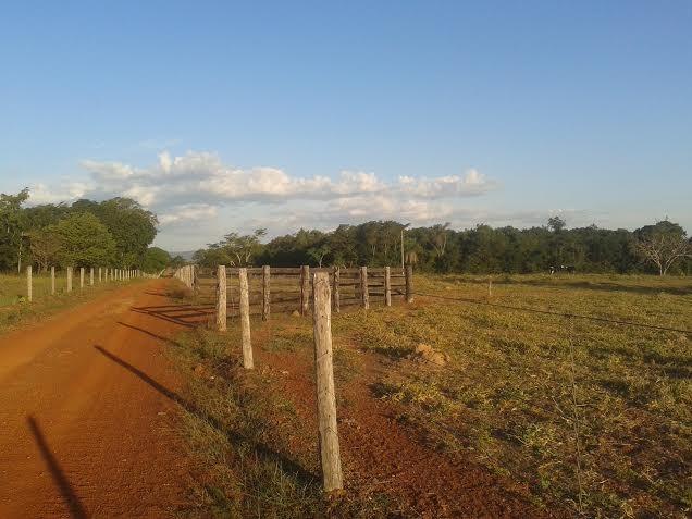 Fazenda c/ 500he c/ 315he formado, a 50km de Cuiabá-MT - Foto 6