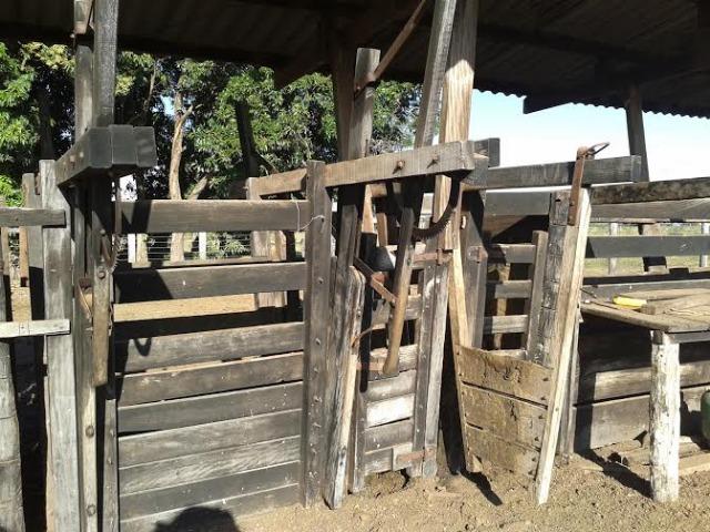 Fazenda c/ 500he c/ 315he formado, a 50km de Cuiabá-MT - Foto 10