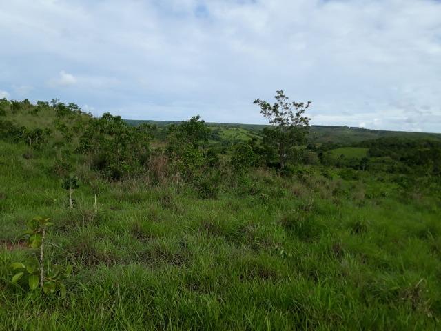 Fazenda c/ 912he, 550he formados, Terra boa, Itiquira-MT - Foto 12