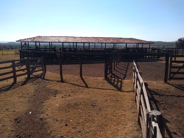 Fazenda c/ 920he, com 600he formados, as margens da BR, a 35km de Cuiabá-MT - Foto 11