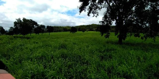 Fazenda com 686he, c/ 350He formado, terra boa, 30km antes Guiratinga-MT - Foto 5