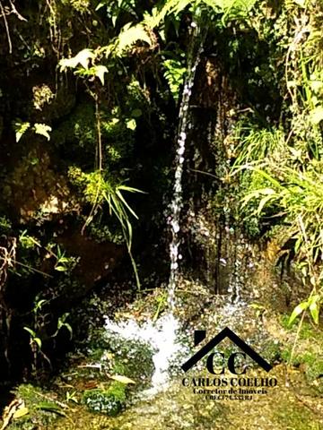 L Chácara localizada em Muri - Friburgo - Foto 7