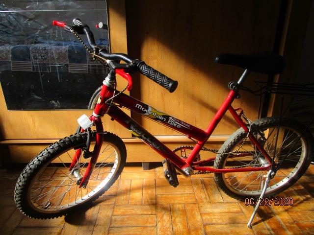 Bicicleta Infantil Mountain Bike - Foto 2