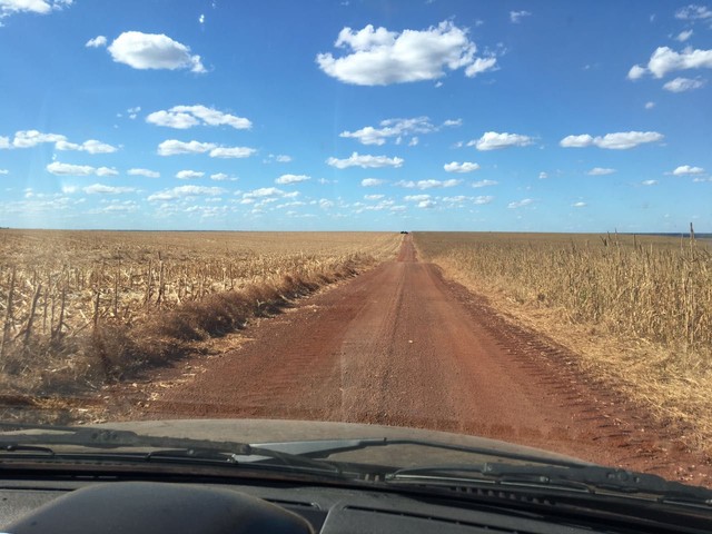 Fazenda em Divinopolis. Lavoura. - Foto 4