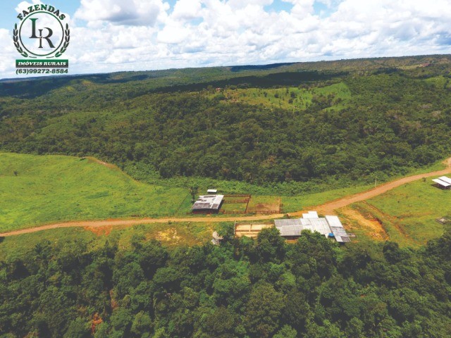 Oportunidade Fazenda Pecuária Próximo de Palmas