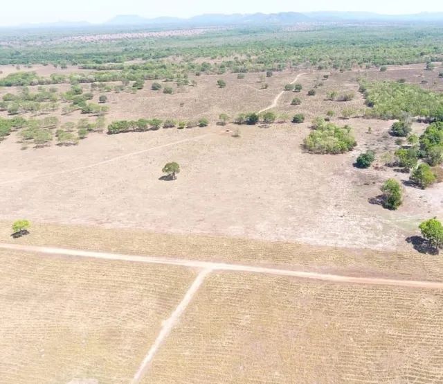 Fazenda em Silvanopolis. Dupla aptidão. - Foto 5