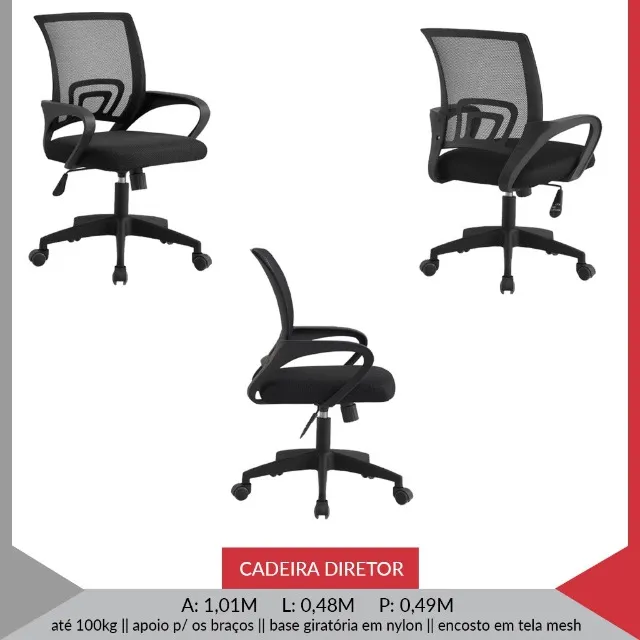 Cadeira diretor com rodizios