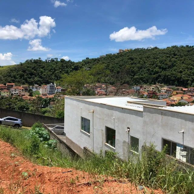 foto - Juiz de Fora - Bosque dos Pinheiros