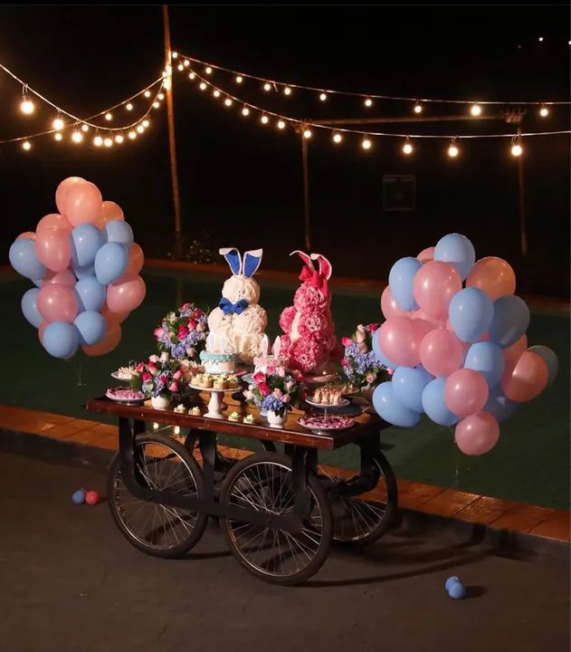 Varal de luzes ALUGUEL - Foto 2