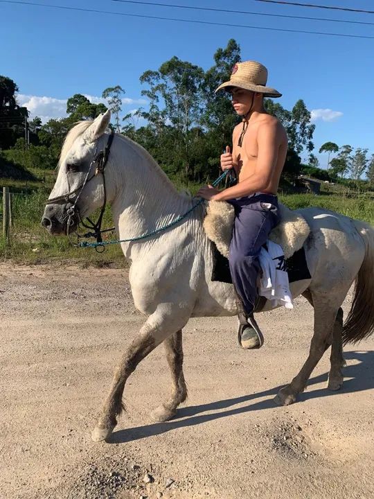 Crioulo bagual confirmado - Foto 2