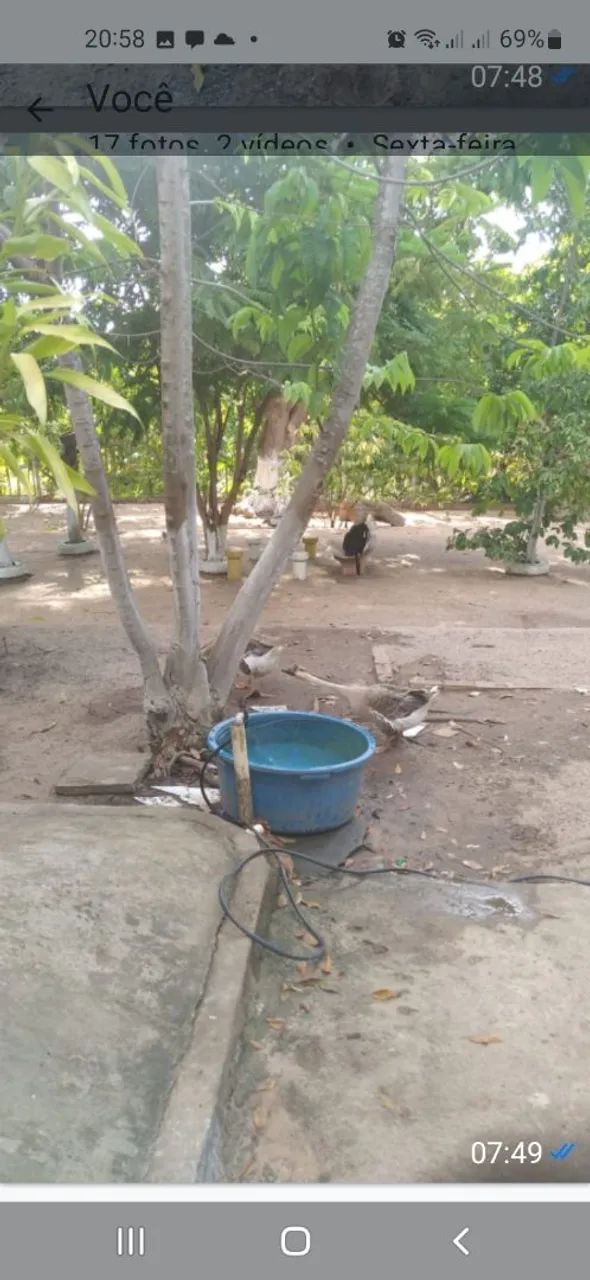 Vende-se sitio com porteira fechada com todos os objetos eletrônicos dentro  - Foto 9