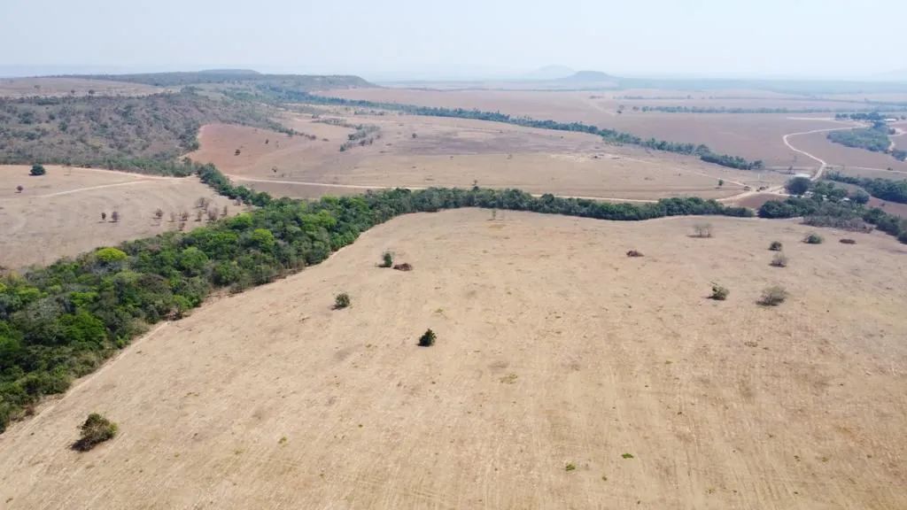 Fazenda de arrendamento 647hec em Paranatinga MT.  - Foto 5