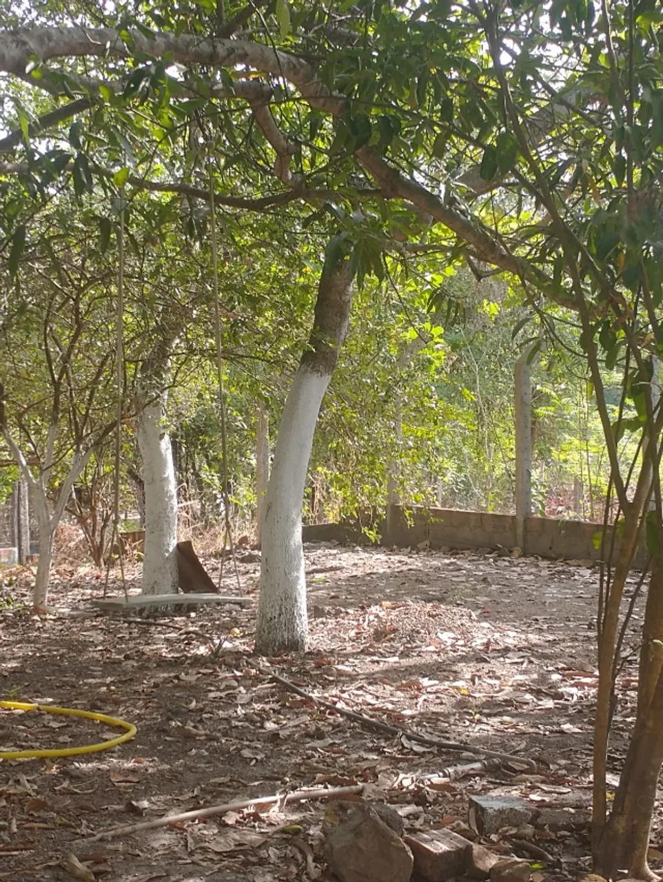 Sitio dos Silvas