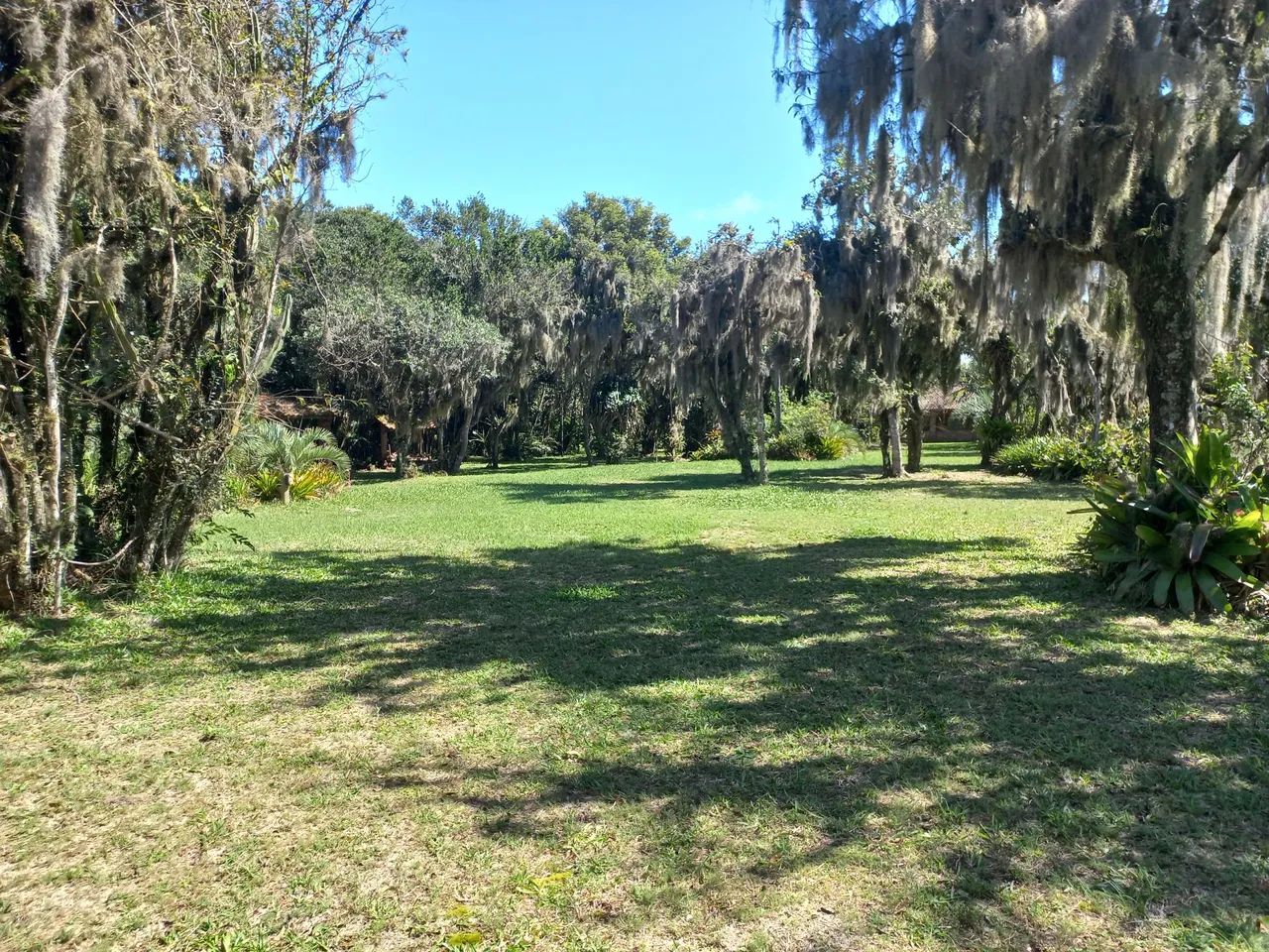 Propriedade exclusiva na Lagoa das Malvas em Maquiné - Foto 13