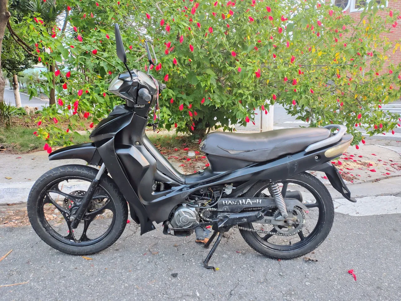 Motos SHINERAY RAY 50 no Brasil