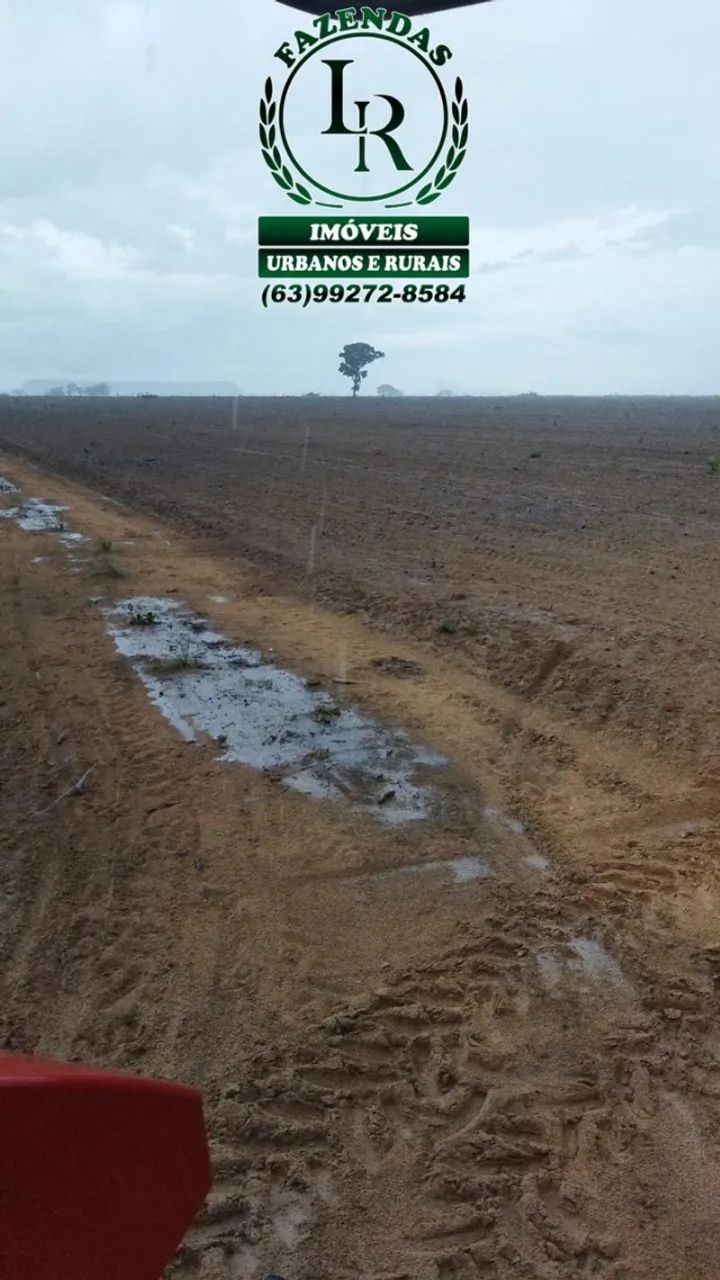 Fazenda 1.733 Hectares, Área para Lavoura Tocantins - Foto 2