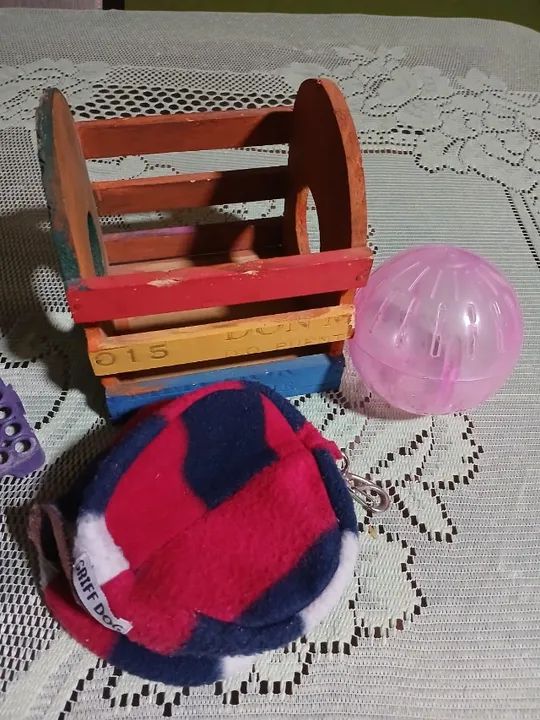 Kit 10 peças para Mini Coelho, Porquinho da índia, Chinchila , Hamster , Pequenos roedores - Foto 3