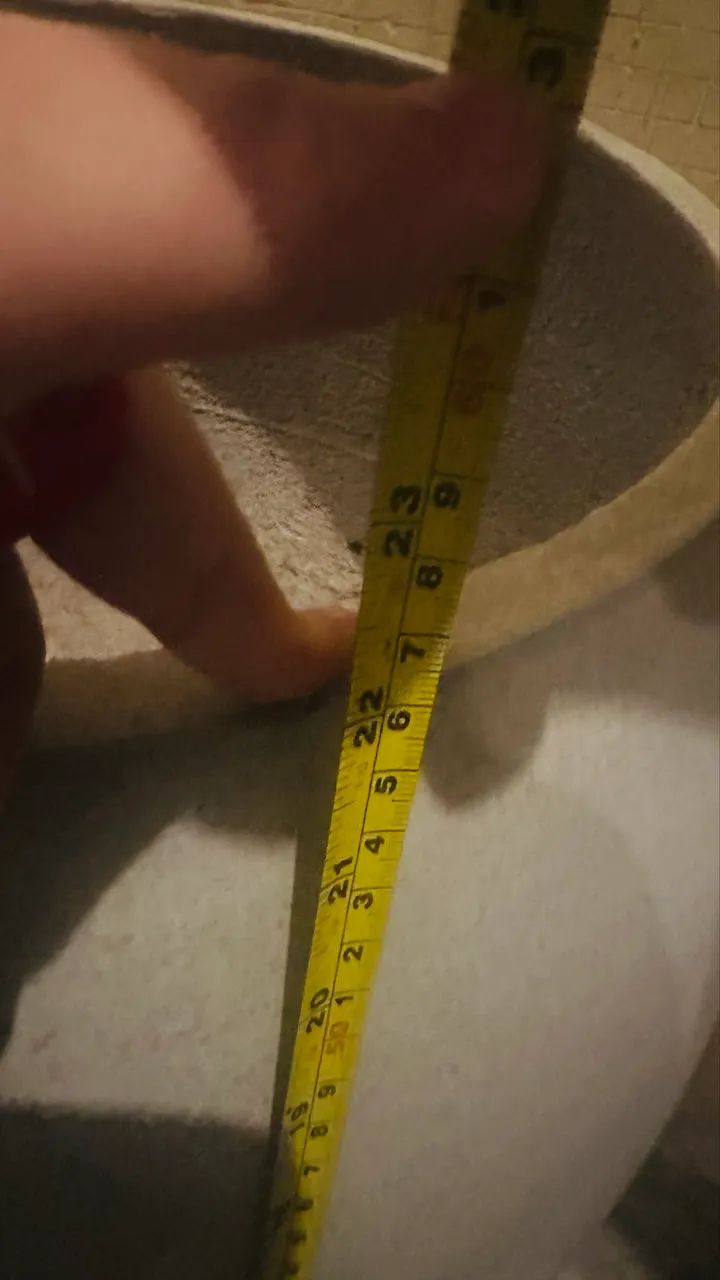 Vaso de planta grande em cimento  - Foto 3