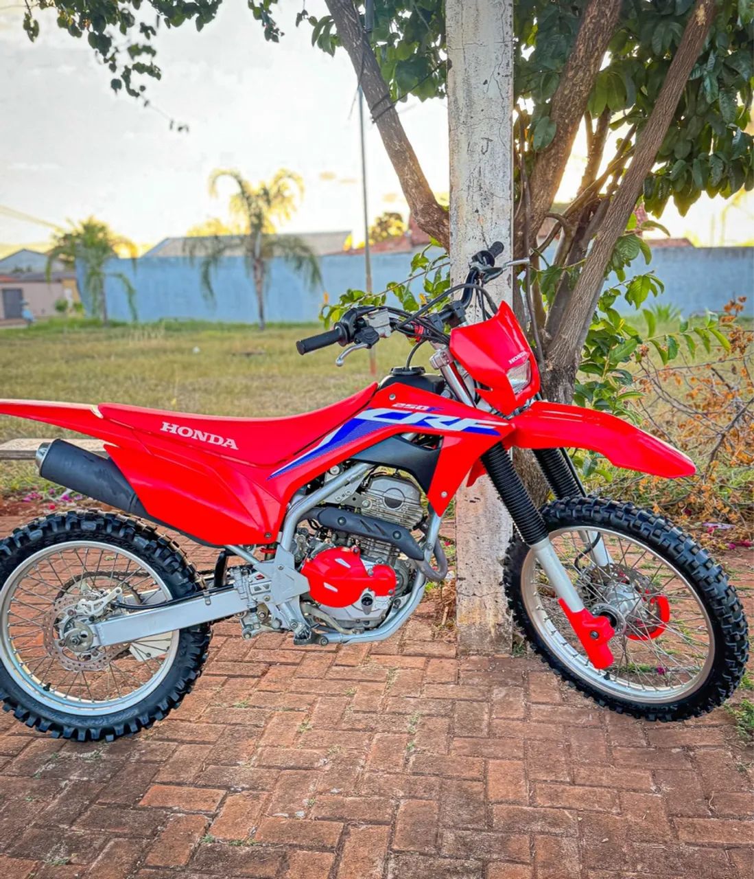 Honda 250 F 2024 - 1343137001 | OLX