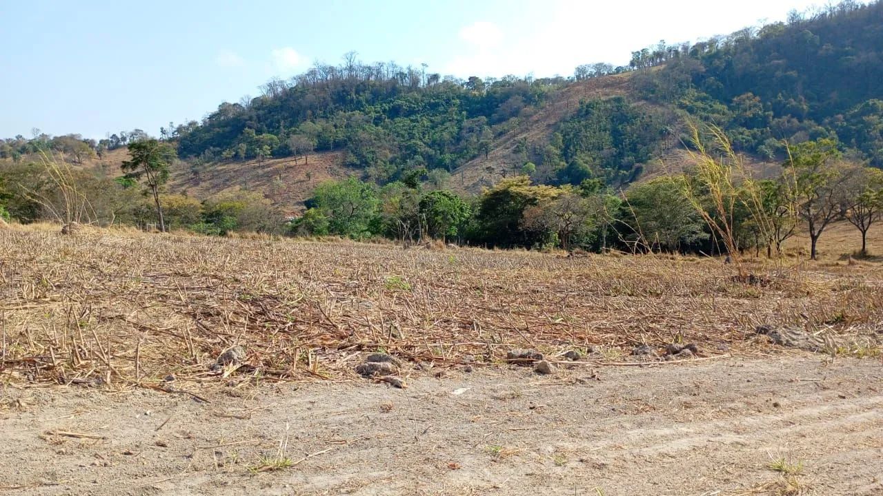Terreno de 20 mil metros em florestal  - Foto 2