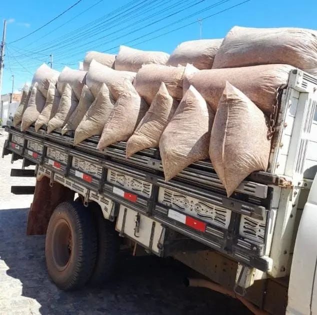 Silagem de maniva64309220796931121