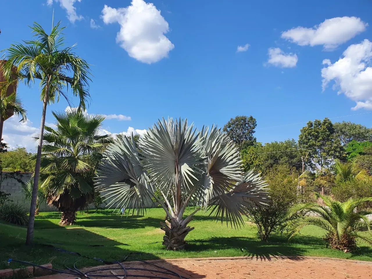 Casa à venda 3 Quartos, 2 Suites, 5 Vagas, 5000M², Jardim Florianópolis, Cuiabá - MT | Con - Foto 4