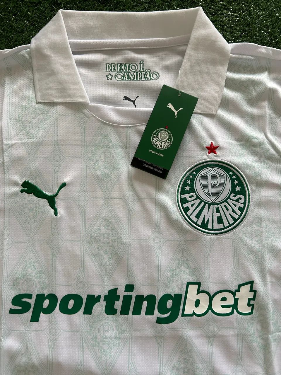 Palmeiras Reserva 2025 - Foto 3