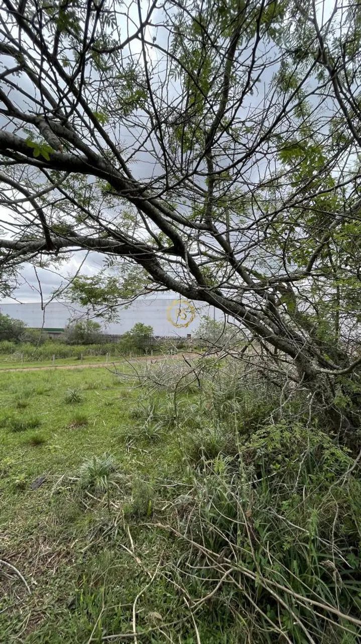 Oportunidade: Terreno para venda em Nova Santa Rita, Floresta REF: TE0178 - Foto 3