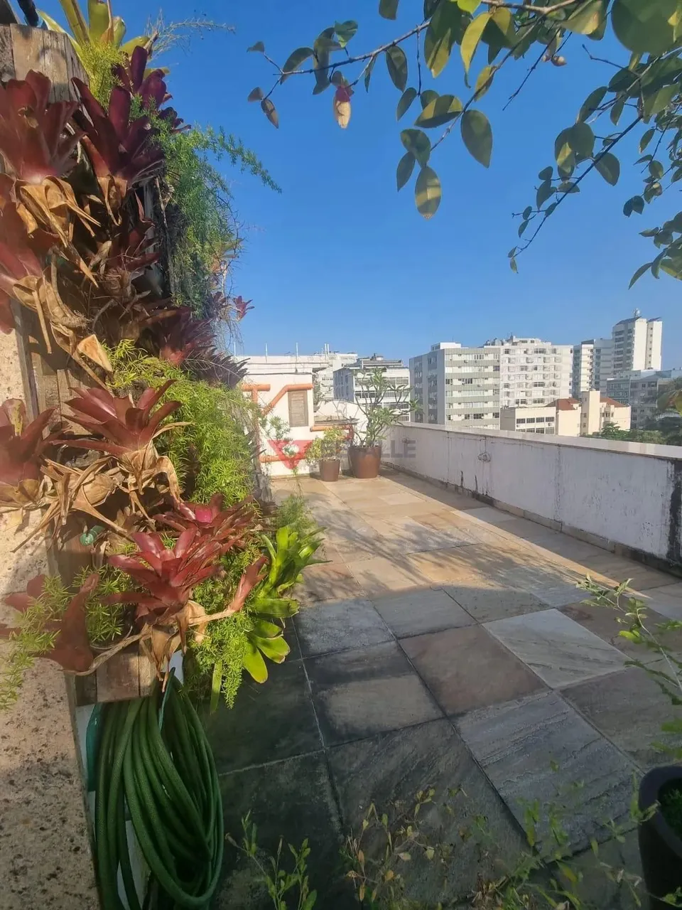 Luxuosa Cobertura em Ipanema: 240m², 3 Quartos por R$5,65M