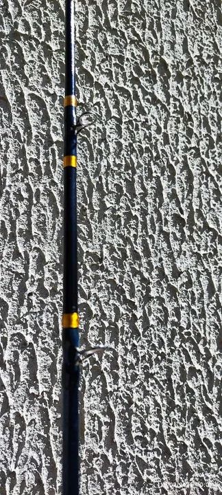 Vara Intergreen Captain 2,13 30 lbs "Relíquia total"  - Foto 5