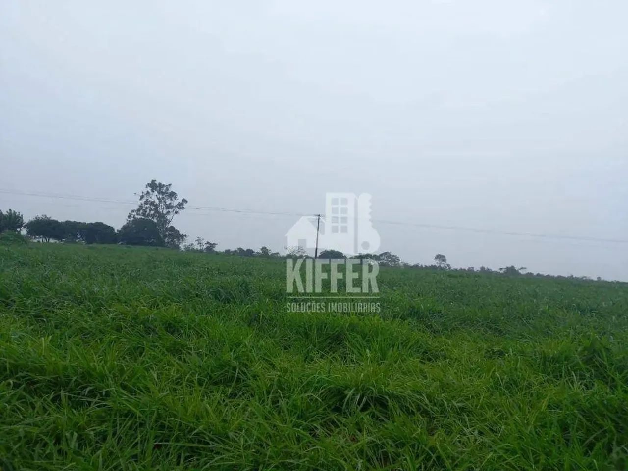 Fazenda com 6 dormitórios à venda,  m² por R$ 62.000.000,00 - Zona Rural - Campos Altos/MG - Foto 12