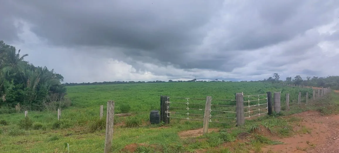 Fazenda de arrendamento 2.000 hec em Cotriguaçu MT. Grade a combinar
