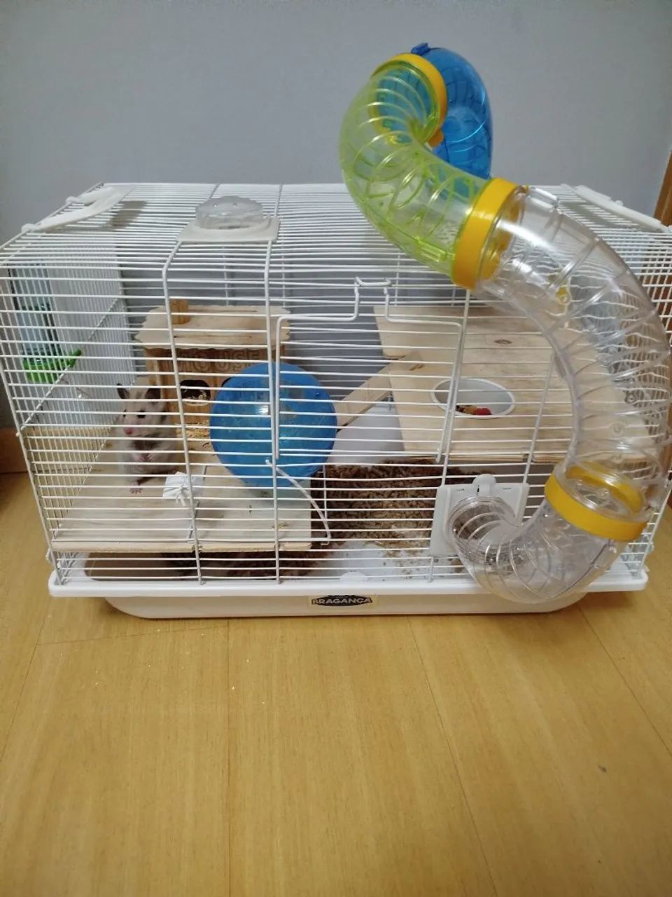 Hamster com gaiola com tubo transparente