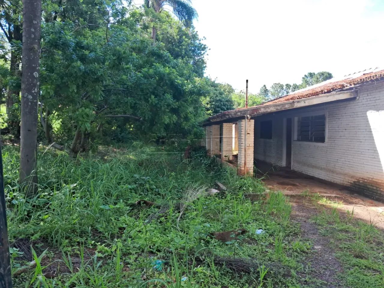 Rural Chácara em Américo Brasiliense - Foto 3