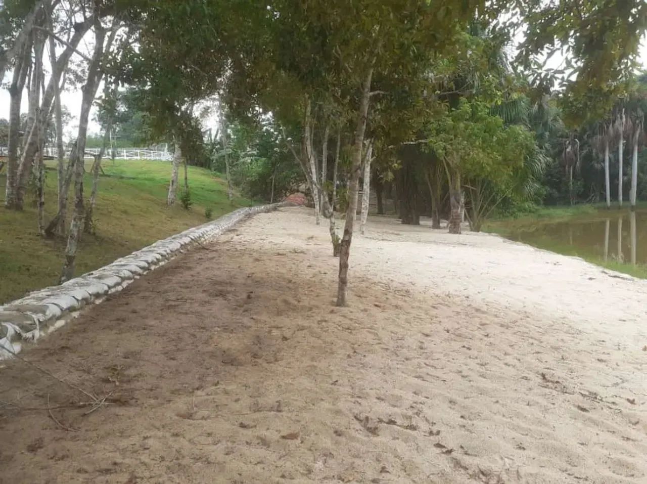 Transferência de lotes na chácara da fazenda 2 lotes bem localizado - Foto 11