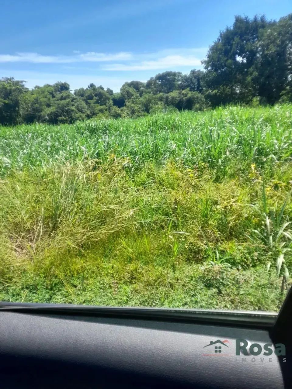 Fazenda Beira Rio Manso em Chapada - Foto 4