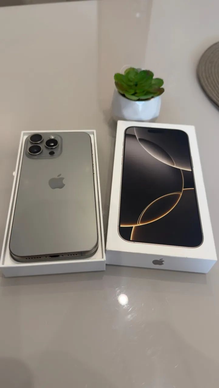 16 pro max 256GB