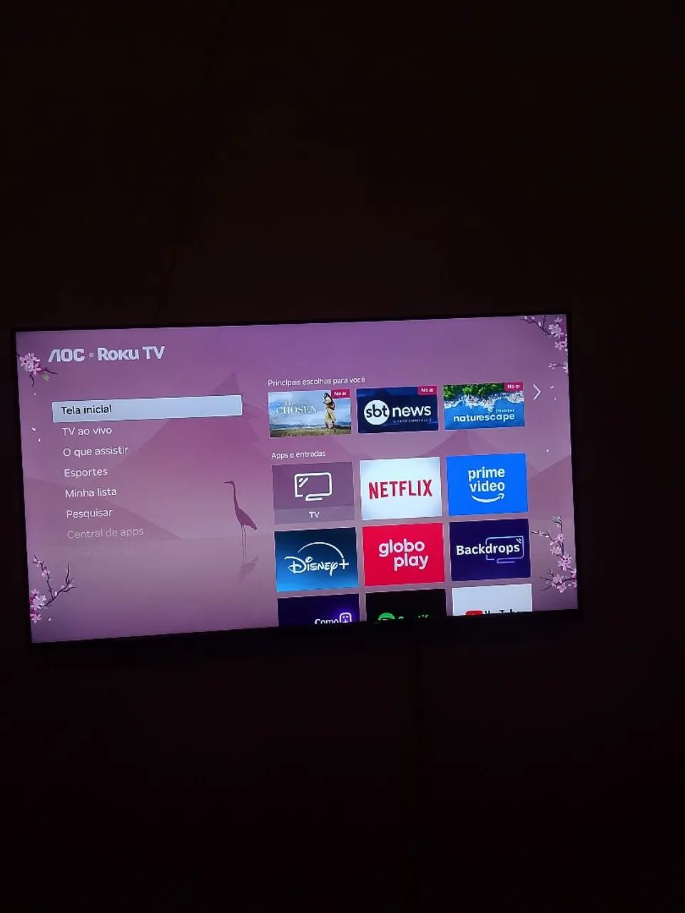 Tv 40 polegadas 