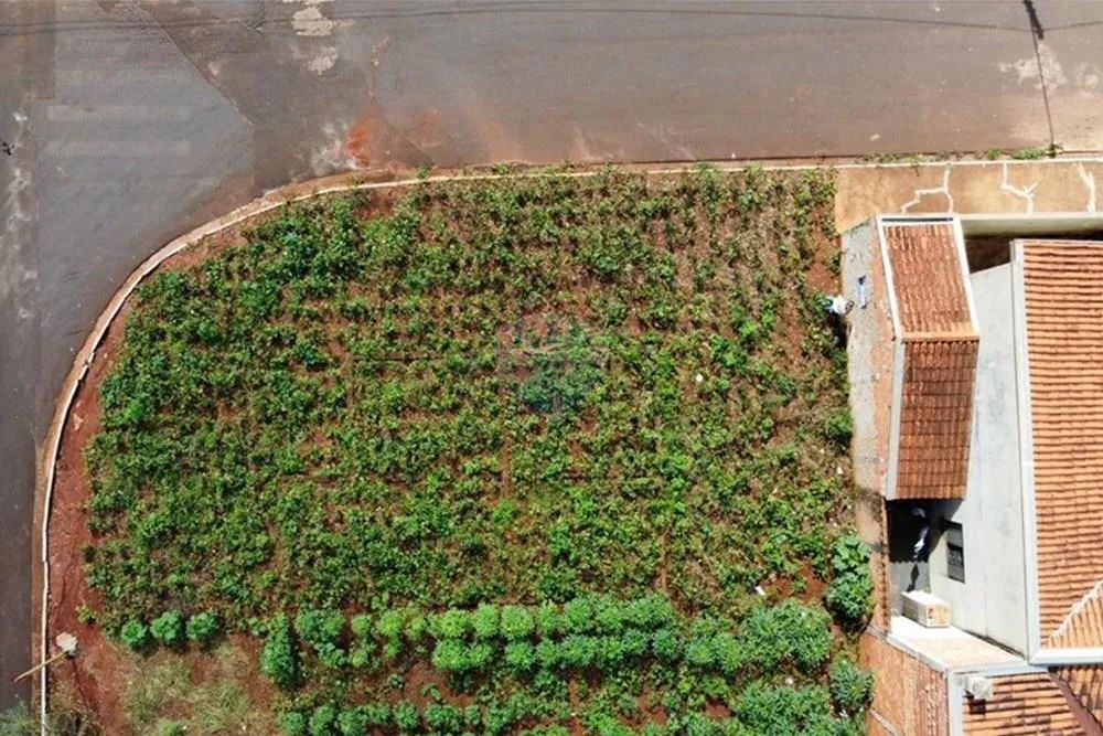 Terreno / Lote à venda, 176m² - Terra Roxa -SP - Foto 15
