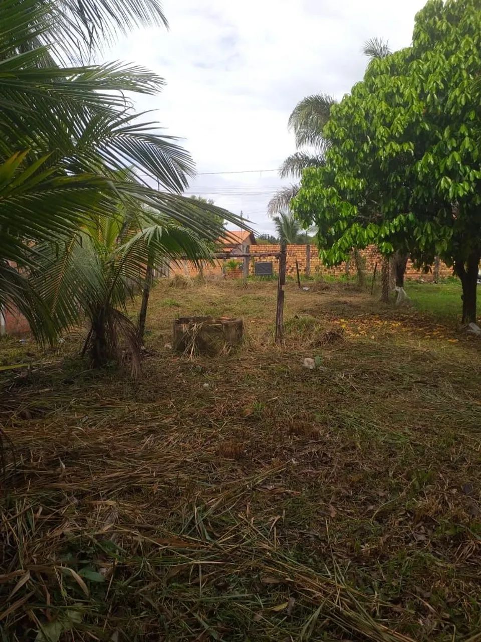 Vendo terreno 12x32m² - Foto 4