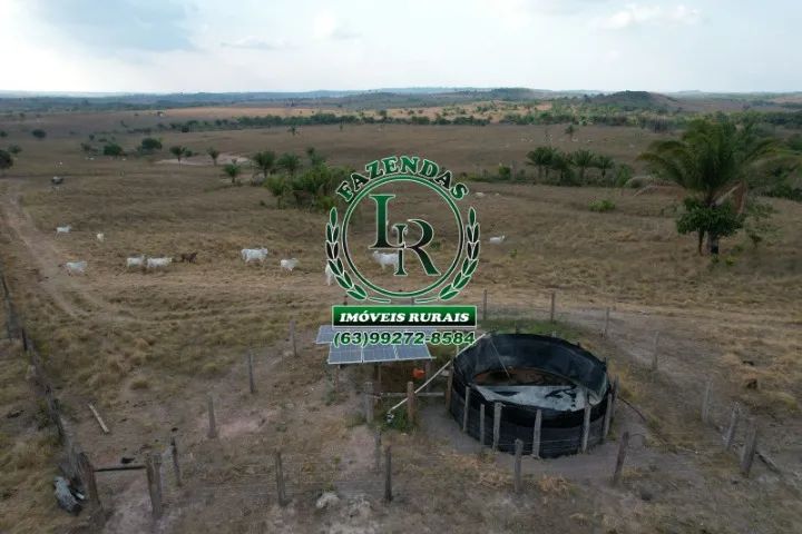 Fazenda 587 Alqueires Estado do Pará - Foto 5