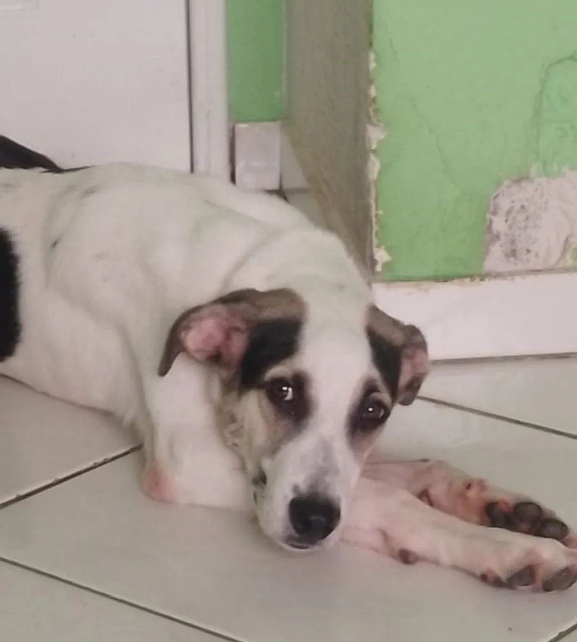Doação  - Foto 4
