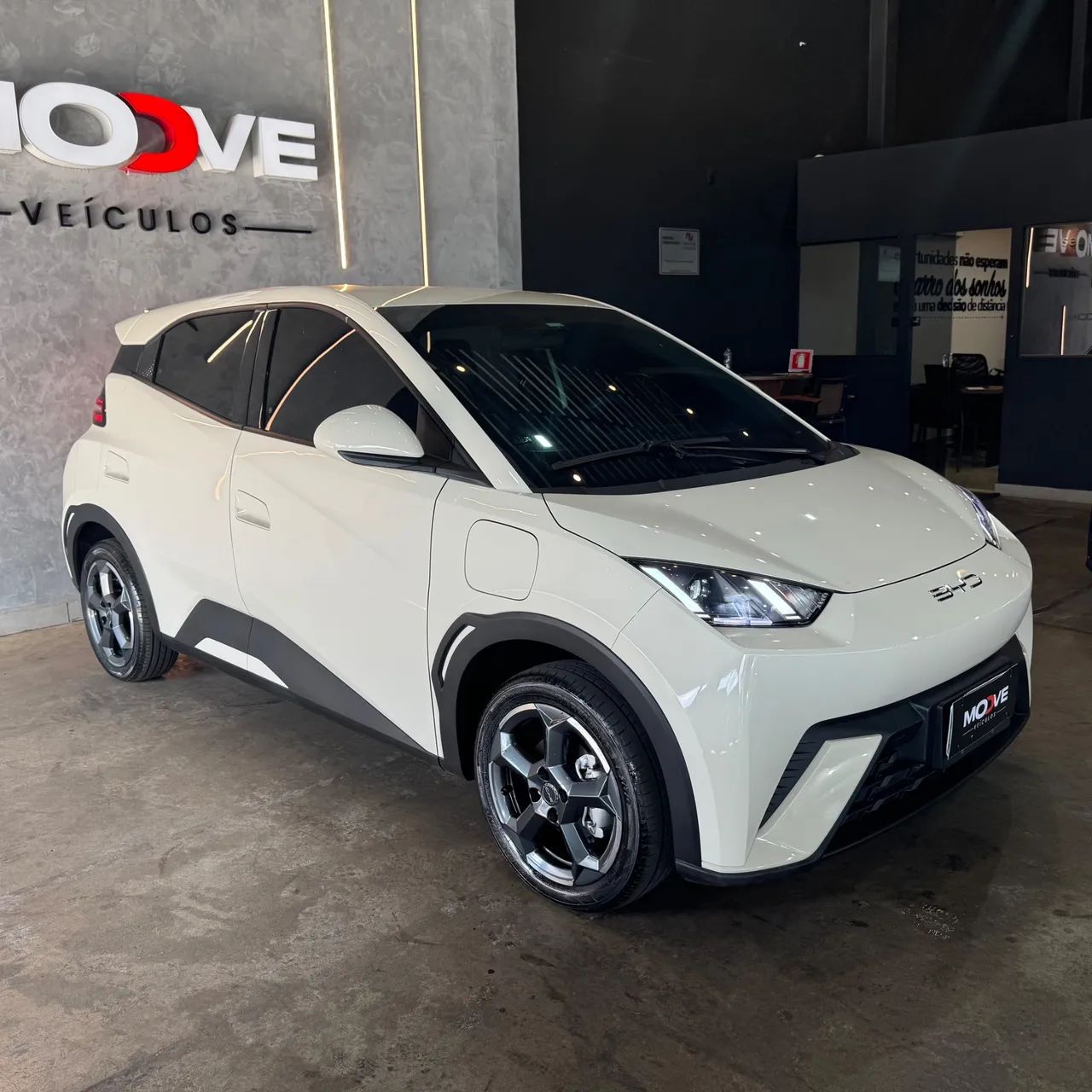 BYD Dolphin GS (Elétrico) 2025 - Foto 2