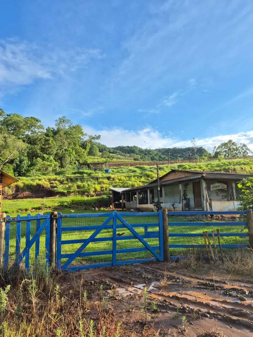 Vendo sítio 8 alqueires