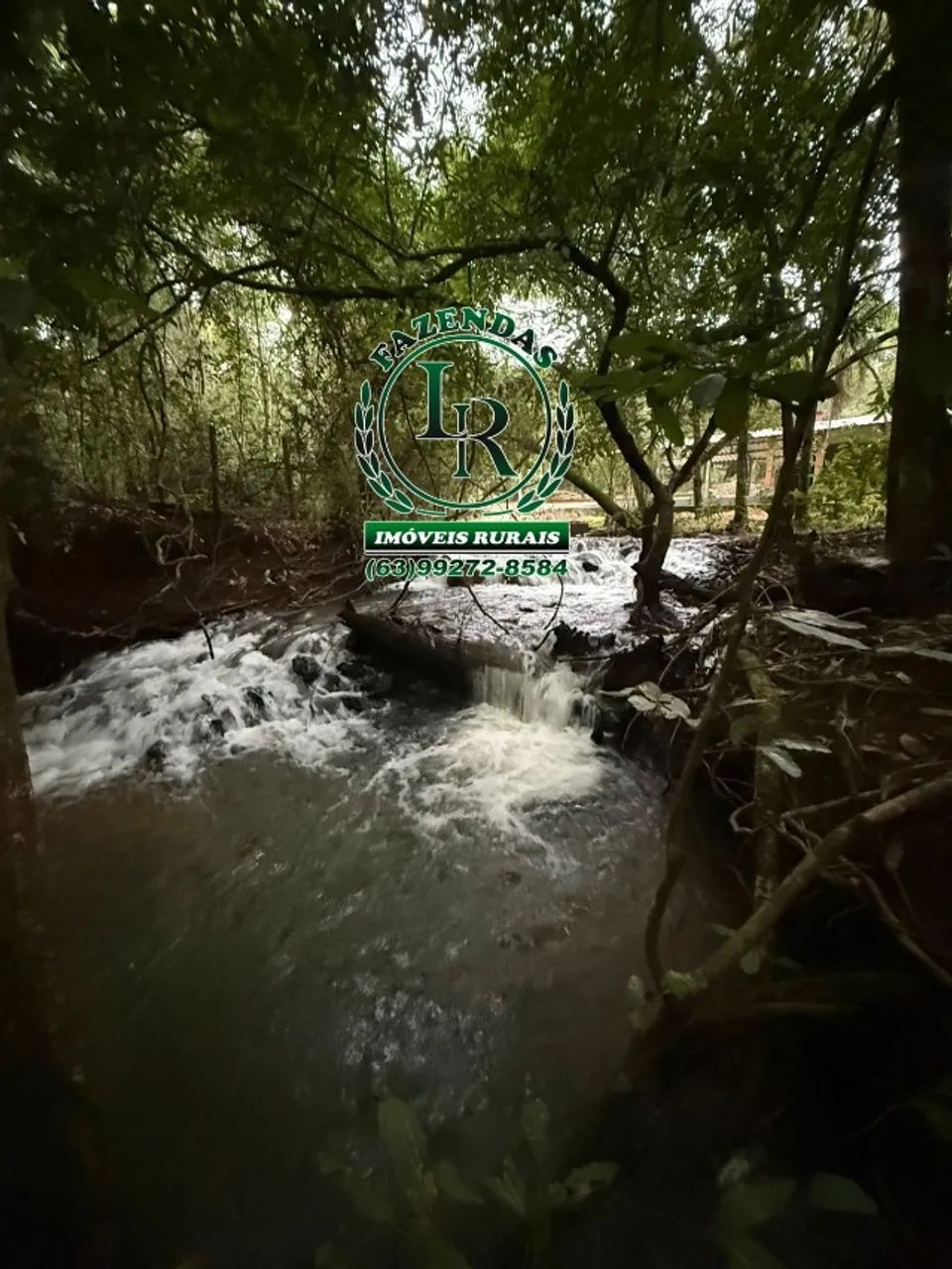 Chácara Taquaruçu Grande Área de 43000M² Bruta - Foto 2