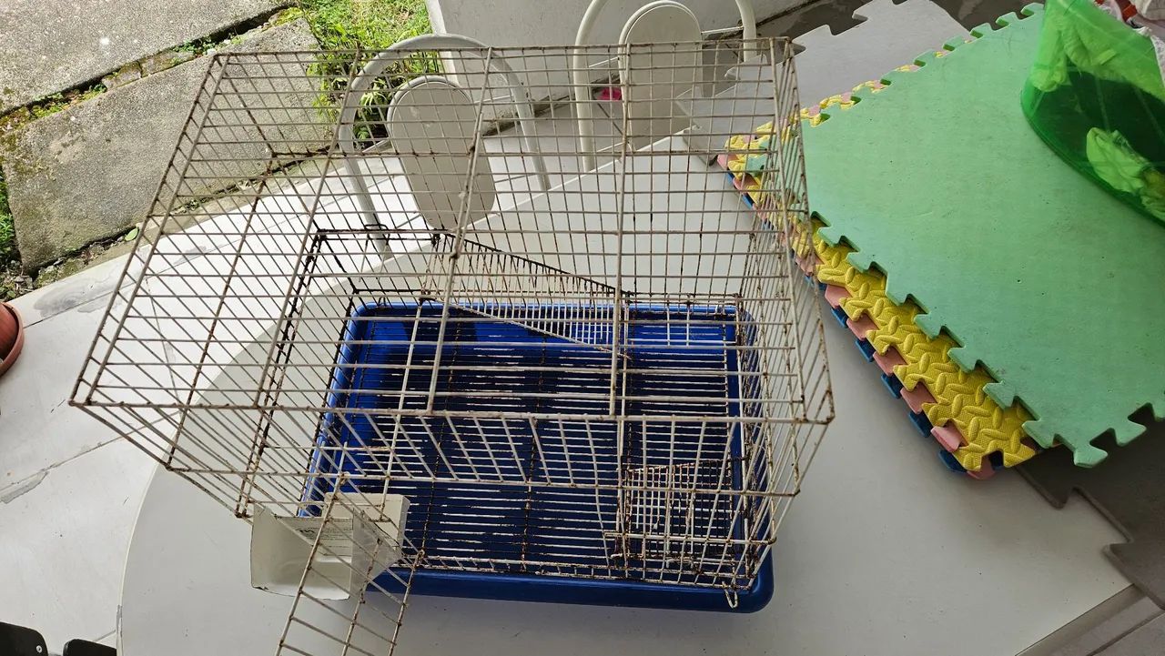 Gaiola para rato twister e semelhantes - Foto 3