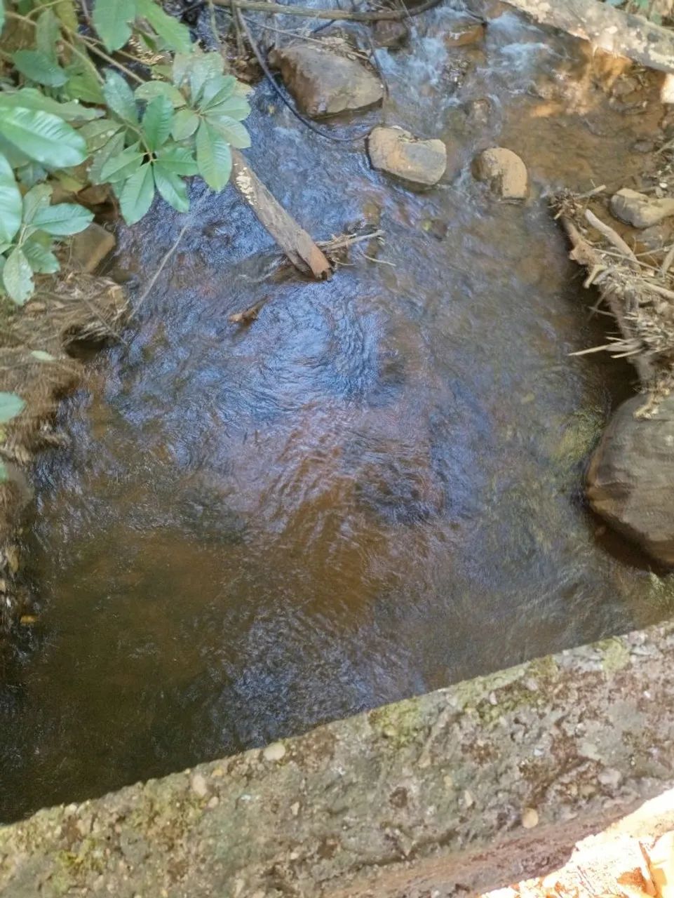 Chácara em taquaruçu  - Foto 4